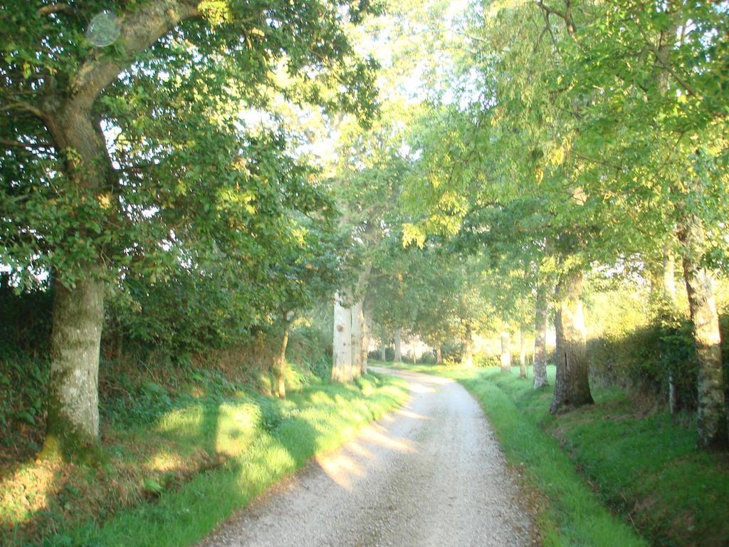 Chateau Le Val Brix Oda fotoğraf